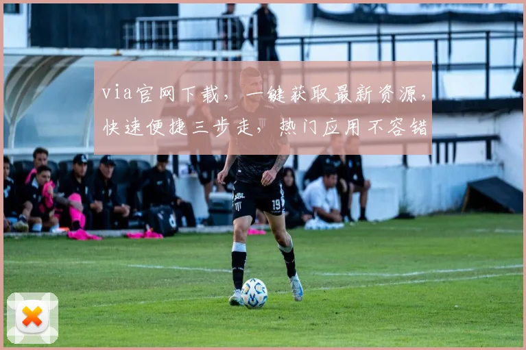 via官网下载，一键获取最新资源，快速便捷三步走，热门应用不容错过，轻松安装体验