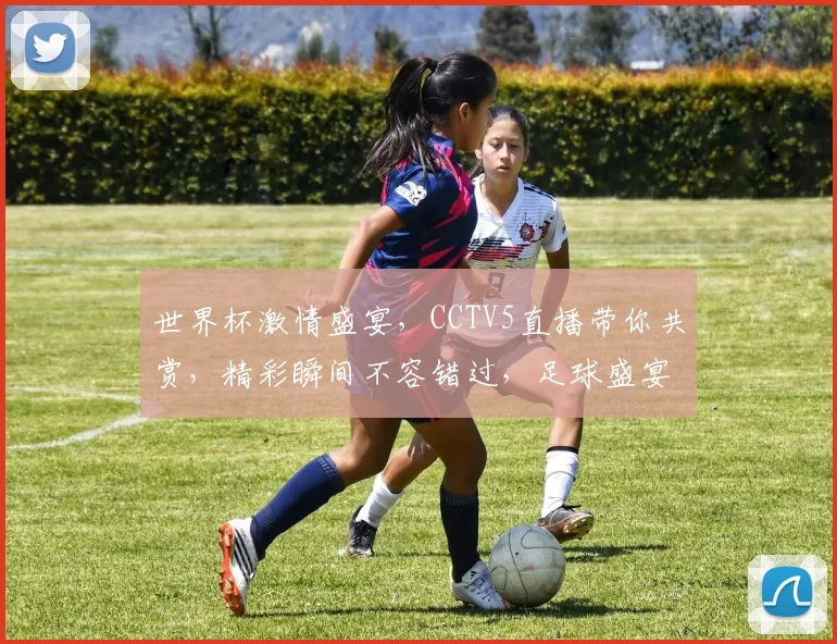 世界杯激情盛宴，CCTV5直播带你共赏，精彩瞬间不容错过，足球盛宴等你来观