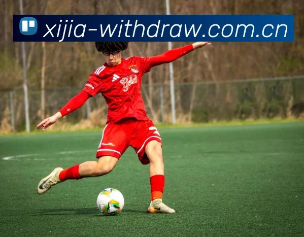 奖项2